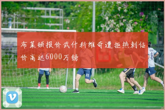布莱顿报价武什科维奇遭拒热刺估价高达6000万镑
